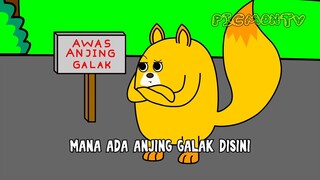 Anjing Kecil