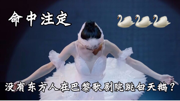【ROAST】命中注定没有东方人在巴黎歌剧院跳白天鹅？