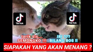 IRI BILANG BOS VS TARIK SIS SEMONGKO, SIAPA YG AKAN MENANG ? | KOMPILASI DUBBING JAWA 2020 PART 6