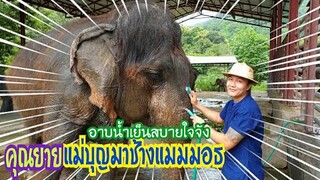 อาบน้ำคุณยายแม่บุญมาช้างแมมมอธ