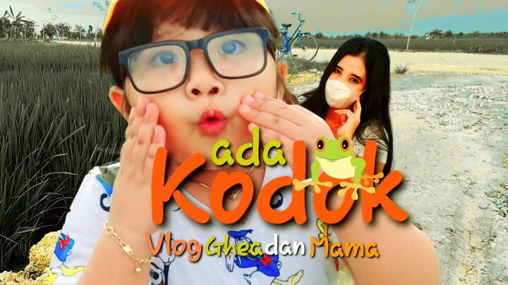 Ada Kodok 🐸 Ghea Naira and Family Vlog