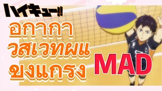 [ไฮคิว!! คู่ตบฟ้าประทาน] MAD  | อีกาก้าวสู่เวทีผู้แข็งแกร่ง