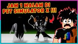 KETIKA MAIN PET SIMULATOR X DI JAM 1 MALAM INI YANG TERJADI !!! - Roblox Indonesia