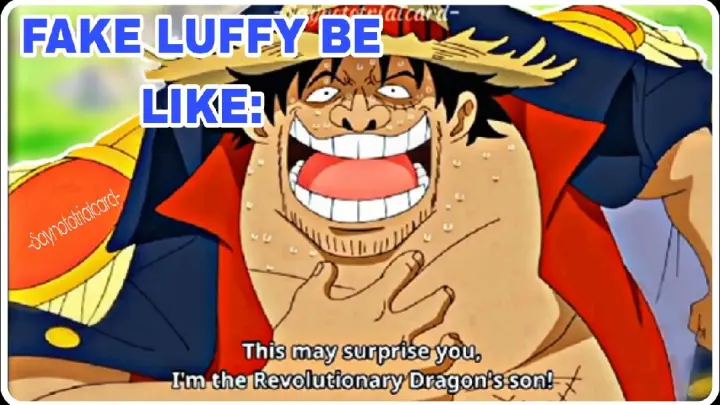 FAKE Luffy be like