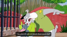 Tom and Jerry Tales Tập 1 - 5 Vietsub