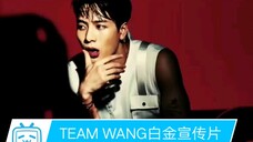 【TEAM WANG白金宣传片】王嘉尔白金 team wang3000件竞拍！