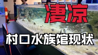 时隔一年，水族馆早已物是鱼非