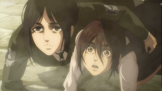 [Attack on Titan] Sister Pique, seekor anjing besar dengan bulu mata yang panjang, suka disentuh ole