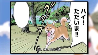 Ep. 36 Sekai no Owari ni Shiba Inu to (Sub Indo) | Doomsday with My Dog | Summer 2022