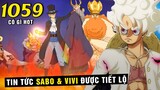[ One Piece 1059 có gì hot ] Luffy nhận tin tức Sabo và Vivi , sẵn sàng cứu anh trai , Số phận Boa