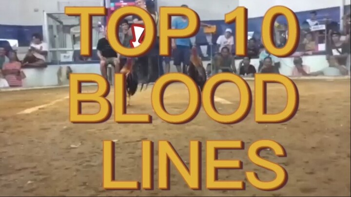 top 10 most prefered bloodlines