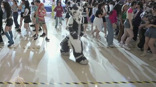 [Silver Tan, Dance in Animal Costume] Random Dance in Yangzhou ในปี 2023 - ส่วนที่ Yintan Gintan มีส