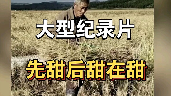 大型纪录片《先甜后甜在甜》！！！持续为您播出！！！
