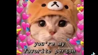ᴛᴏɴɪᴋᴀᴋᴜ ᴋᴀᴡᴀɪɪ 🥰
