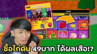 Blox Fruits แจกโค้ดซื้อไก่ตัน 49บาท ได้ผลเสือเลยหรอ!?