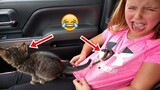 Video Kucing Lucu Banget Bikin Ngakak #57 | Kucing dan Anjing | Kucing Lucu Imut