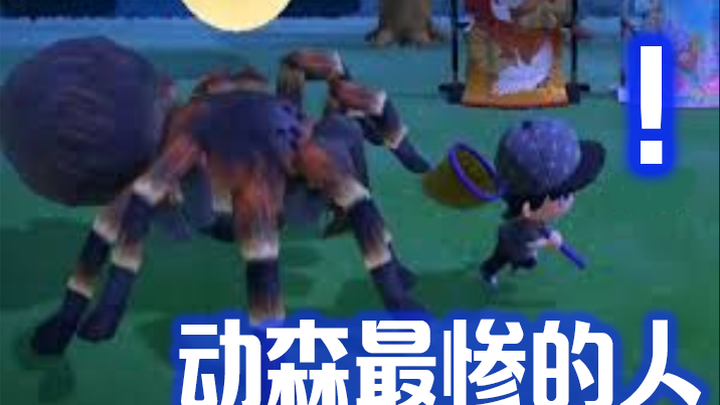 全网动森玩家中最惨的人