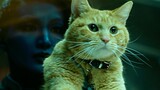 Primordial Eater: ฉันเป็นแค่แมวสีส้ม เป็นแมวสีส้มที่น่ารักที่กลืนทั้งจักรวาลได้!