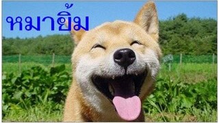 หมายิ้มน่ารักๆ ดูแล้วฟินมากๆ หัวใจแทบละลาย Love me Love my Dog