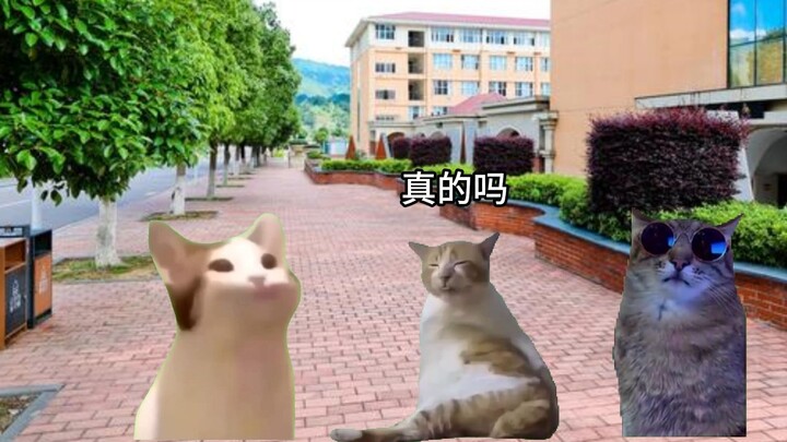 เมื่อเจ้าของร้านอาหารได้พบกับนักศึกษาวิทยาลัยธรรมดาๆ