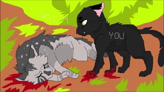 Hollyleaf PMV - Medicine