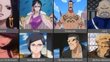 Anime Characters Who Look Like One Piece Characters