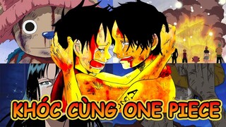 Khóc Cùng One Piece | Cùng Xem Lại Những Phân Đoạn Gây Tốn Nhiều Nước Mắt Nhất Trong One Piece