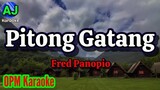 PITONG GATANG - Fred Panopio | OPM KARAOKE HD