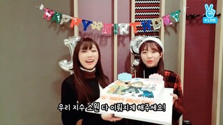 170317 [LOVELYZ] 다시 보는 햅삐지수데이 (Happy Birthday Jisoo, once again!)