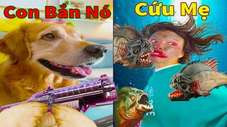 Thú Cưng TV | Gâu Đần và Bà Mẹ #43 | Chó Golden Gâu Đần thông minh vui nhộn | Pets cute smart dog