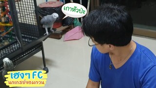 EP.237 เฮงสุดซอย