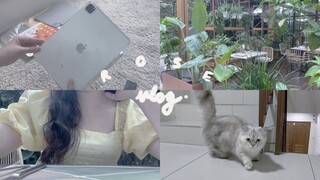 [Vlog] Busy day with family - unboxing new iPad case, birthday brunch and reunited with Mia 😍