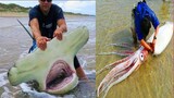 Catching Seafood 🦀 ASMR Relaxing (Catch Shark , Catch Fish ,Deep Sea Monster)#443