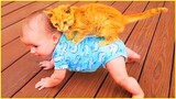 Best video of Cute Babies and Pets #4 - Funny Baby and Pet