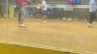 Breed to win