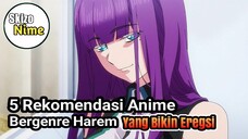 Rekomendasi Anime Harem Yang Bikin Eregsi