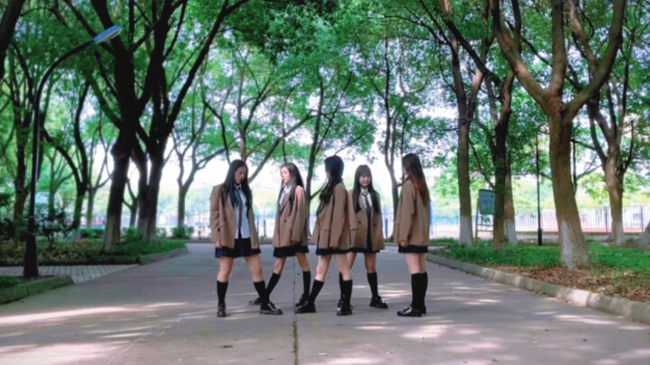 【ditto】Photographed ditto on the tree-lined avenue of Suzhou University of Science and Technology｜Ha
