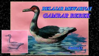 BELAJAR MEWARNAI GAMBAR BEBEK ENTOK / MENGGAMBAR UNTUK PEMULA, TUTORIAL 126 BY DANDAN SA