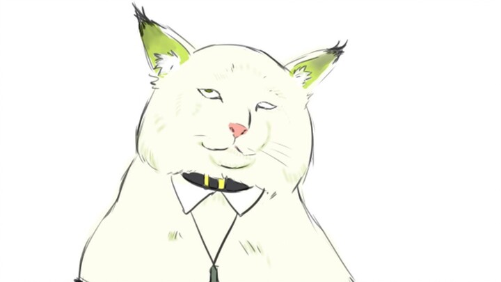 【เสริม】เคลซีเพิ่งจะหลับไป