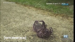 Endlings Tagalog Episode 1 P4