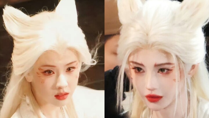 จิ้งจอกผมขาวของจู จิงอี้ และเฉิน ตูหลิง มองผ่านเลนส์ของกัว จิงหมิง