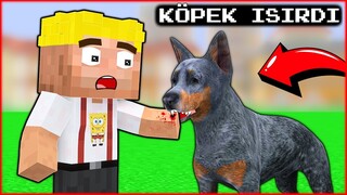 EFEKAN'I KÖPEK ISIRDI! 😱 - Minecraft