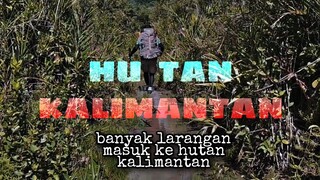 MASUK HUTAN KALIMANTAN ITU BANYAK PANTANGNYA