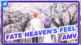 [Fate/Stay Night: Heaven’s Feel AMV] Love Is Like Cherry Blossom, Reunited in Spring_4