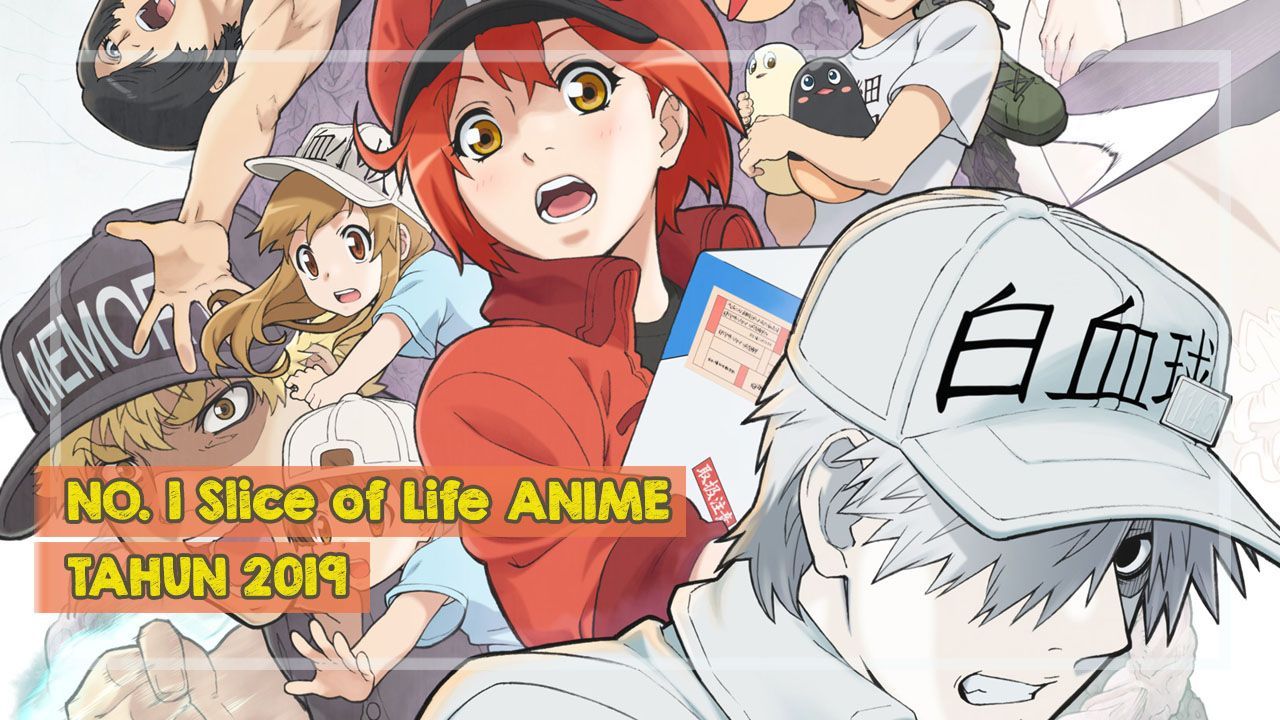 11] Hataraku Saibou (Cells at Work!) DUB INDO - BiliBili