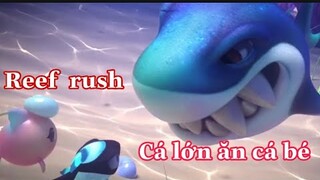 Cá lớn ăn cá bé -Reef rush-iOS Gameplay