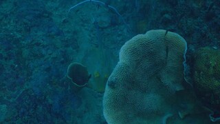 [Love Sea The Series][Episode 01][English Subtitles]