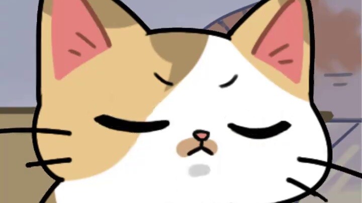 Do you know these secrets in cats' eyes?