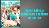 MANGA REVIEW #5: GRAND BLUE DREAMING | VOLUME 1