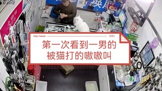 第一次看到一男的被猫打的嗷嗷叫